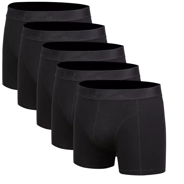 5 Sorte Bambus Underbukser