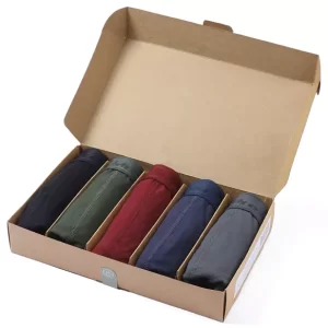 Pakning med 5 farvede Bambus Underbukser